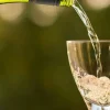 Découvrez le vin blanc UBY N°3 Côtes de Gascogne : un délice estival primé
