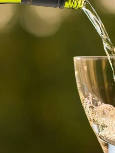 Découvrez le vin blanc UBY N°3 Côtes de Gascogne : un délice estival primé