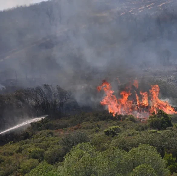Feu de Bizanet : la lutte contre les flammes se poursuit dans l'Aude