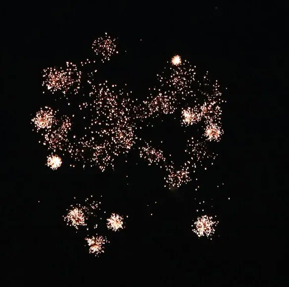 Feux d'artifice : des municipalités françaises prennent des mesures préventives pour le 14 juillet