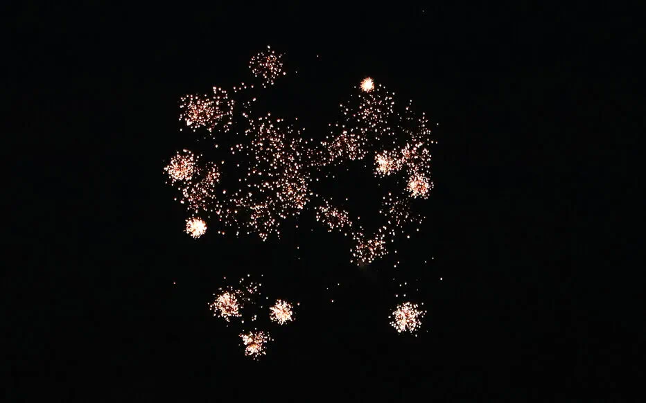 Feux d'artifice : des municipalités françaises prennent des mesures préventives pour le 14 juillet