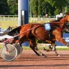 Korona Deladou surprend et remporte le quinté à Enghien