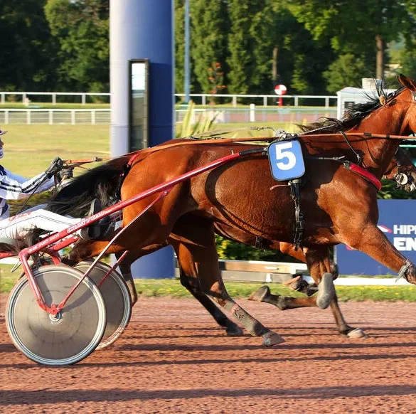 Korona Deladou surprend et remporte le quinté à Enghien
