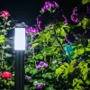 La Magie du Jardin la Nuit : Un Monde Fascinant Révélé