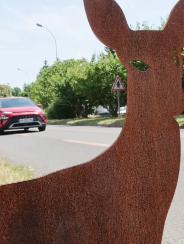 La speed camera de 3 mètres de haut