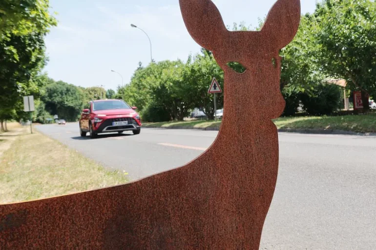 La speed camera de 3 mètres de haut