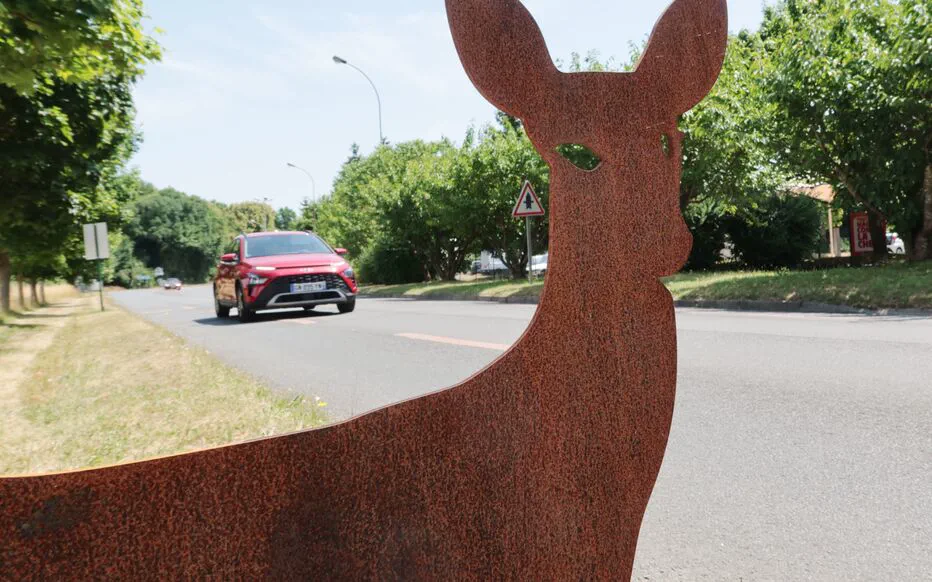 La speed camera de 3 mètres de haut