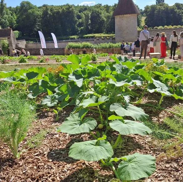 Le domaine de Villarceaux à Chaussy : une renaissance prometteuse
