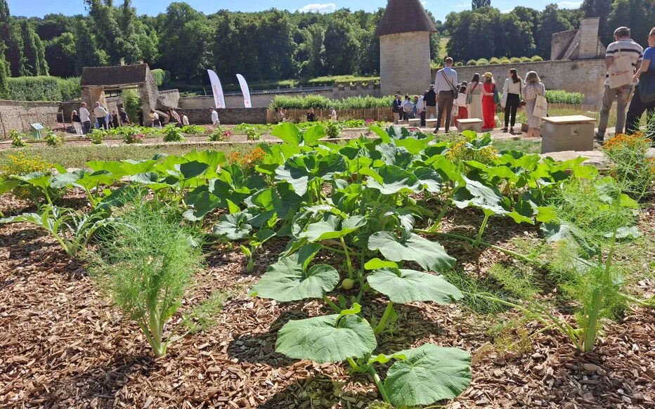 Le domaine de Villarceaux à Chaussy : une renaissance prometteuse