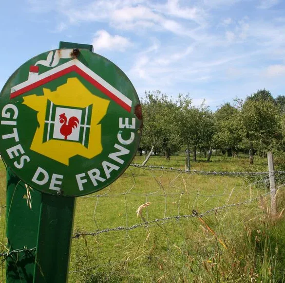 Le gouvernement français cible les citoyens des Émirats arabes unis pour augmenter les revenus touristiques