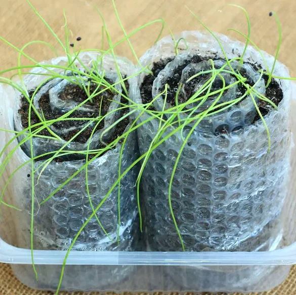 Le Papier Bulle : Un allié Inattendu pour le Jardinage