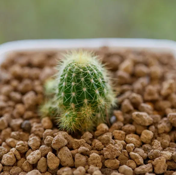 Le secret d'un drainage adéquat pour vos plantes