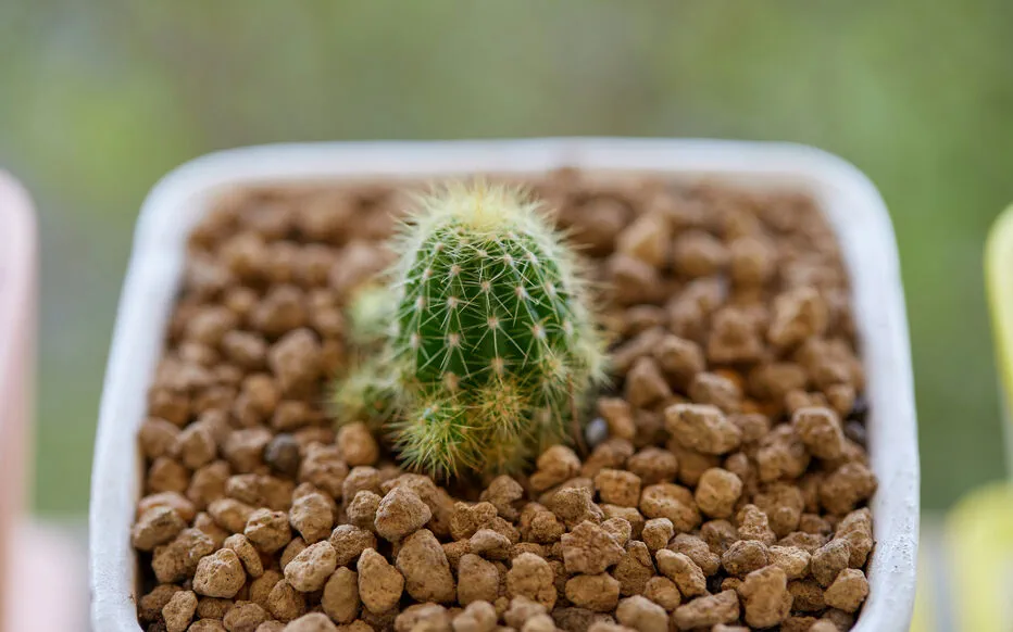 Le secret d'un drainage adéquat pour vos plantes