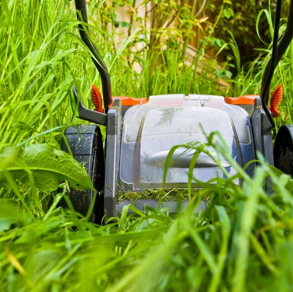L'entretien du jardin : un sujet sensible et réglementé