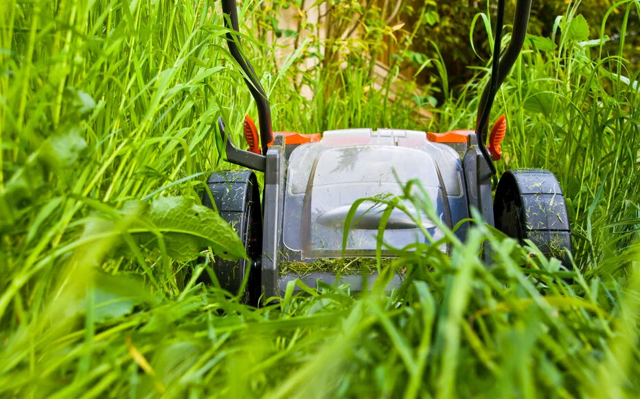 L'entretien du jardin : un sujet sensible et réglementé
