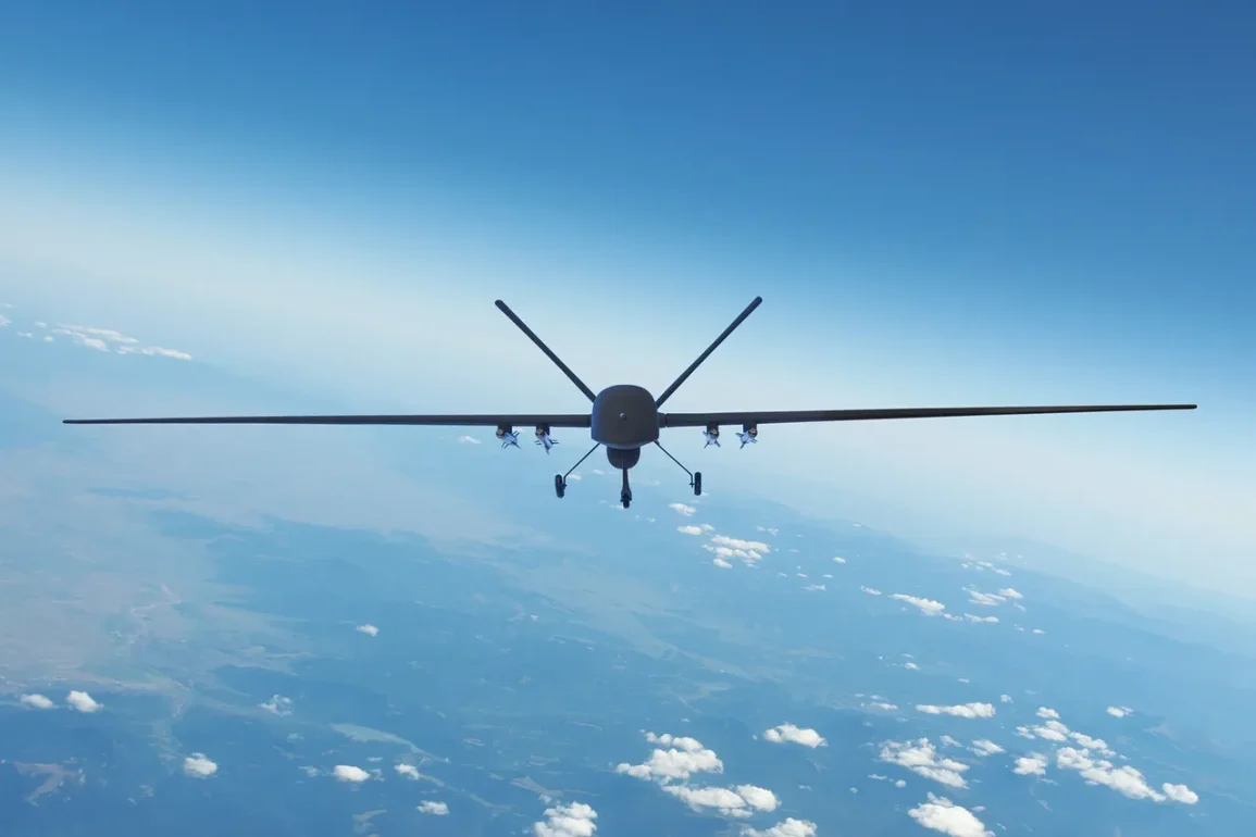 Les forces kurdes abattent un drone armé près de l'aéroport international d'Erbil