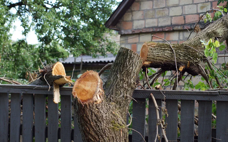 Les pièges des vacances : quand votre absence a des conséquences inattendues