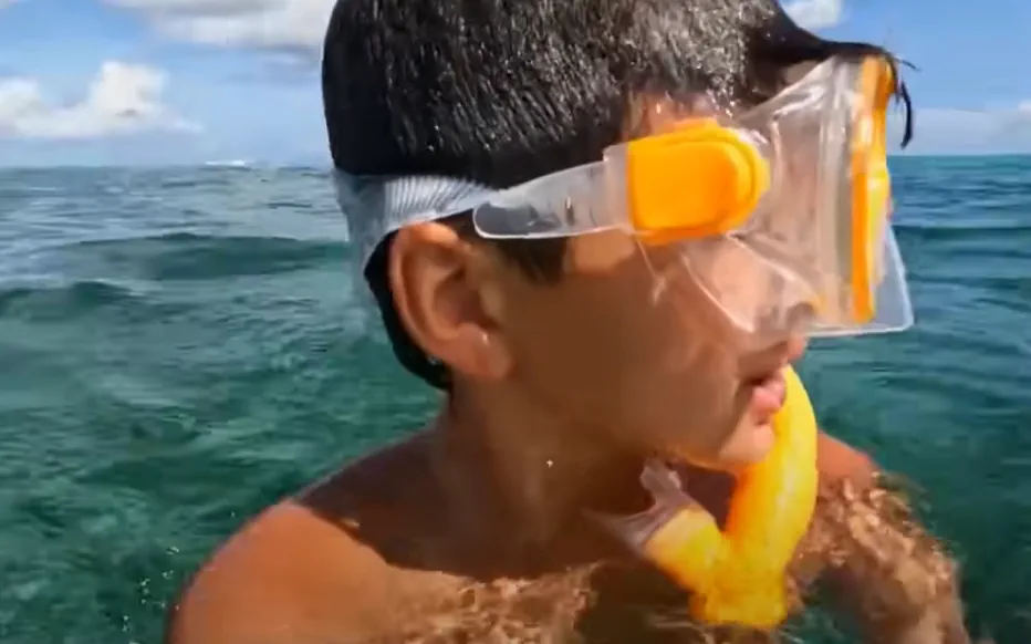 L'incroyable survie de Jameson Reeder Jr. face aux requins