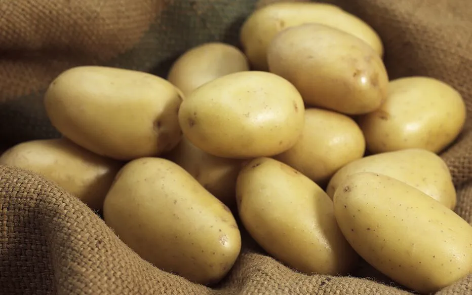 Potato Monalisa : La Variété Facile à Cultiver pour les Jardiniers Amateurs