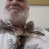 Python en fuite retrouvé à Morsang-sur-Orge