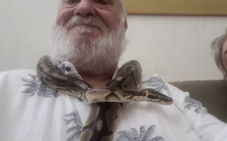 Python en fuite retrouvé à Morsang-sur-Orge