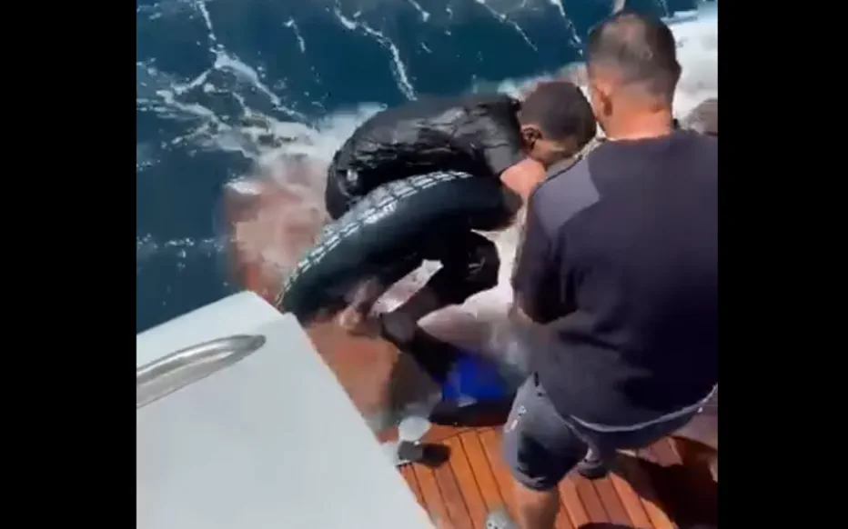 Sauvetage désespéré : un migrant tente la traversee de la Méditerranée vers l'Espagne