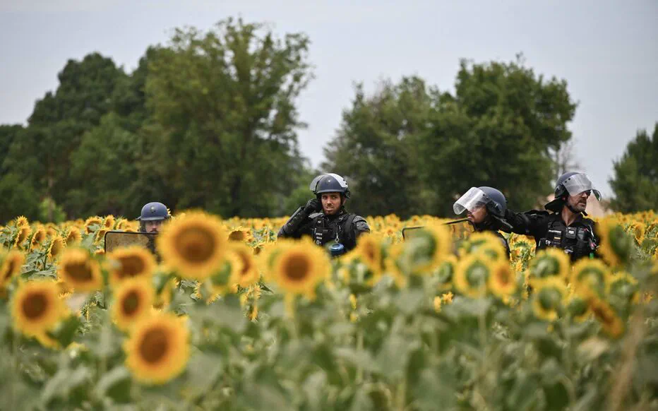 Tension lors d'une manifestation anti-A69 : des heurts avec les forces de l'ordre