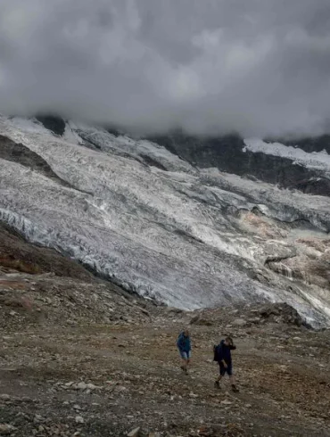 Un chihuahua aide à sauver son maître tombé dans une crevasse en Suisse