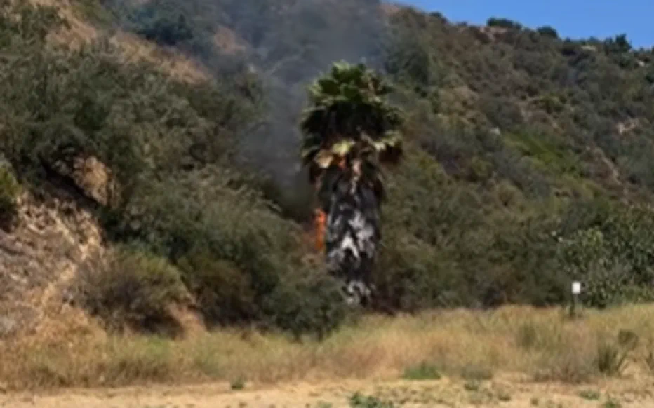 Une randonnée inattendue : découverte d'un incendie et d'une surprise inattendue