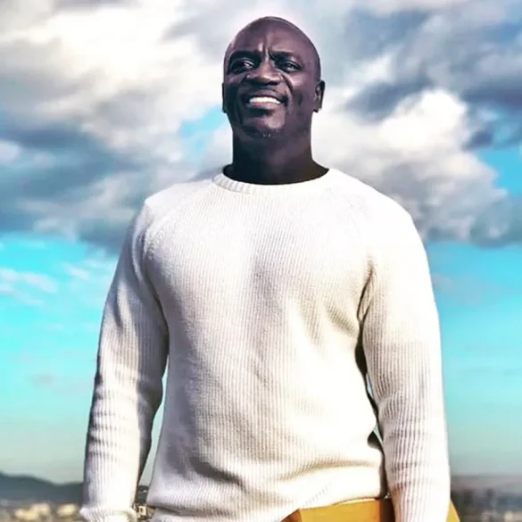 Akon fait face à une attaque de drone pendant sa performance à Sotchi