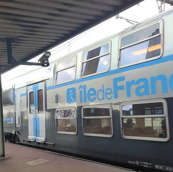 Attaque violente dans un RER : deux cousins visés