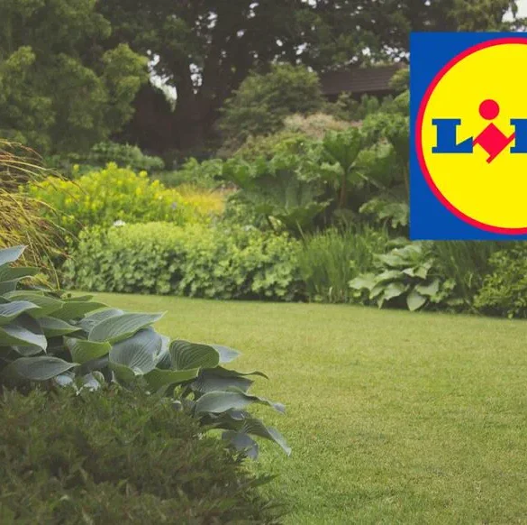 Broyeur à rotor Parkside PWH 2800 C3 : transformez vos déchets végétaux en paillis nutritif