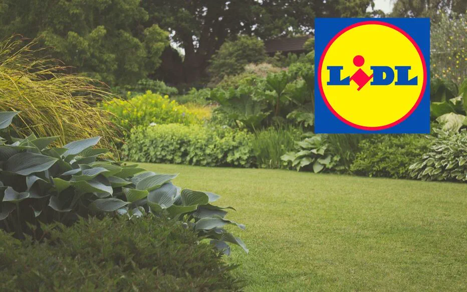 Broyeur à rotor Parkside PWH 2800 C3 : transformez vos déchets végétaux en paillis nutritif