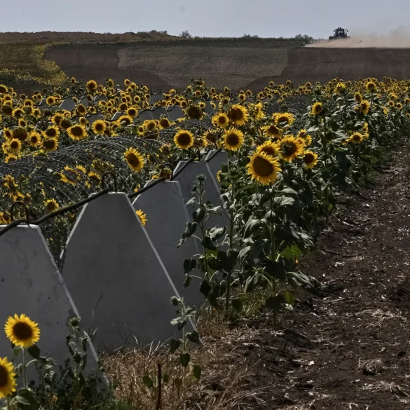 Des corruption et gaspillage lors de la construction de fortifications en Russie près de l'Ukraine