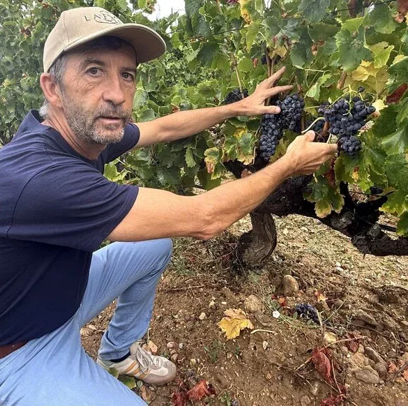 Domaine Lafage : Au rythme des Pyrénées