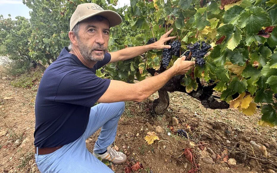 Domaine Lafage : Au rythme des Pyrénées