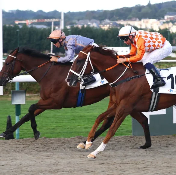 Everstar prend la première place au Prix du Havre