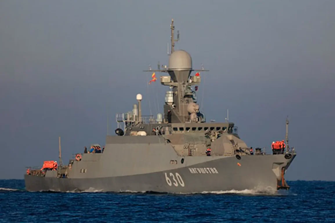 Exercices militaires de la flotte de la Mer Noire : les habitants de Sébastopol informés