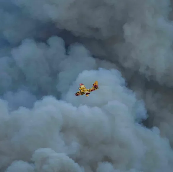 Feu de garrigue enAude : 11 000 hectares dévorés par les flammes