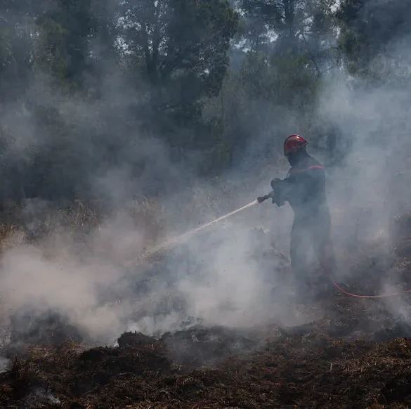 Feu de vigne : l'incendie reste vigoureux au château de Caraguilhes