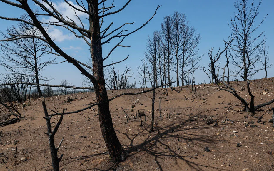 Incendie dévastateur dans l'Aude : une lutte ardente pour la nature