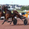 Indy de Jyr écrase la concurrence au Grand Nation du Trot à Toulouse