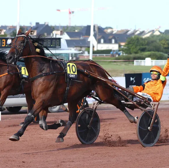 Indy de Jyr écrase la concurrence au Grand Nation du Trot à Toulouse
