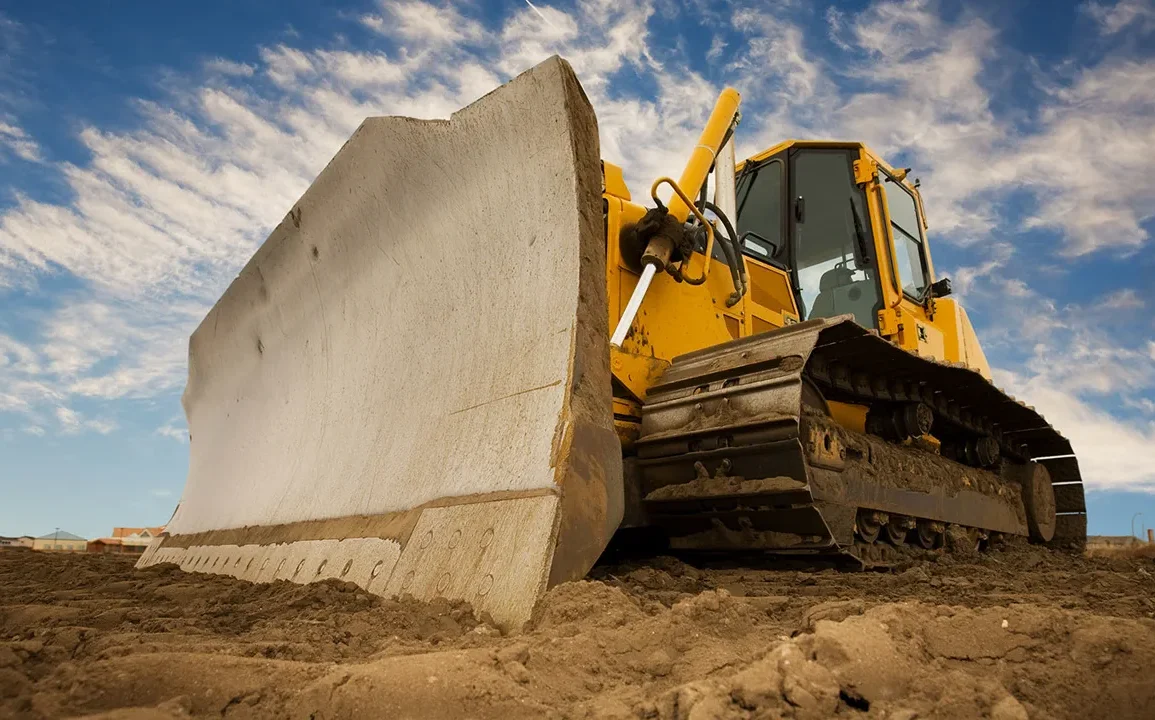 Israël fait couper des centaines d'arbres dans le Jourdain : un acte controversé