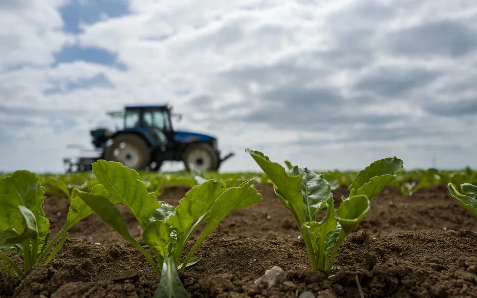 La colère des agriculteurs : la loi Duplomb sous le feu de la controverse
