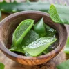 L'aloe vera : un trésor naturel à portée de main