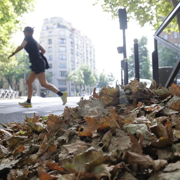 Le « faux automne » : un spectacle coloré mais prématuré
