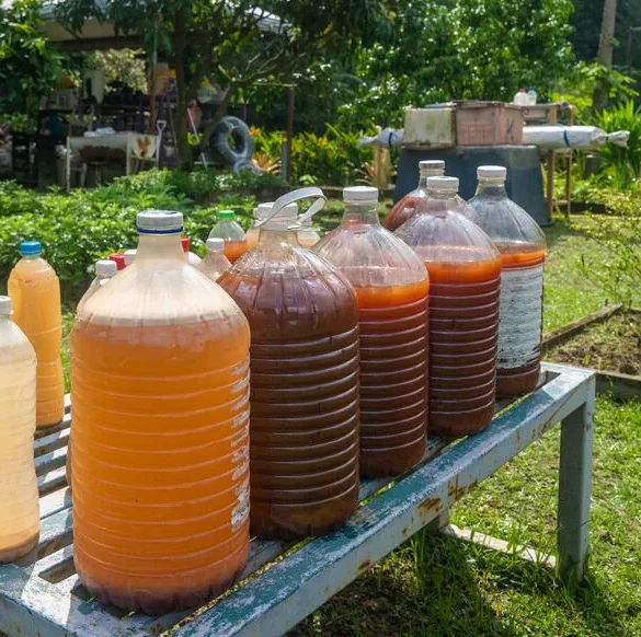 Le pouvoir du jus de compost : nourrir vos plantes avec un délice brun
