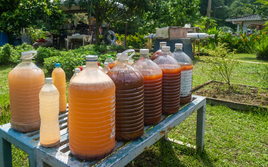 Le pouvoir du jus de compost : nourrir vos plantes avec un délice brun