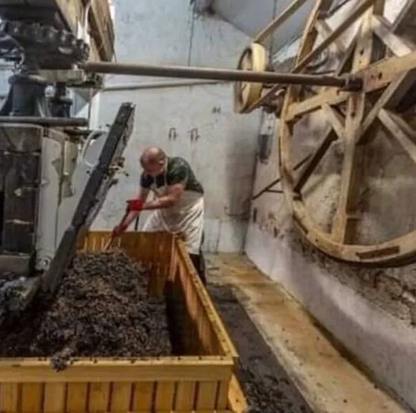 Le Pressoir Ancestral : Une Renaissance après des Décennies d'Hibernation